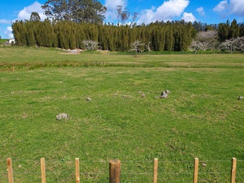 2.10 hectare lifestyle block - flat and sunny