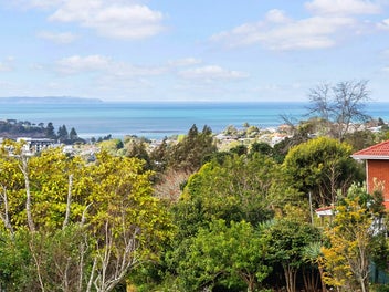 Solid, Loved, Blessed for 46 Years|View|Rangi Zone