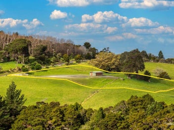 Dream Lifestyle Block in Scenic Leigh - FINAL CALL