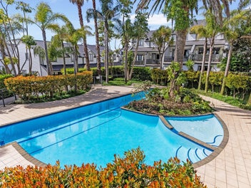 Summerfield perfection