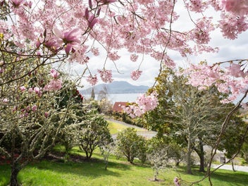 Nature at your doorstep