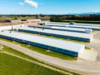 Poultry Operation & Industrial Land