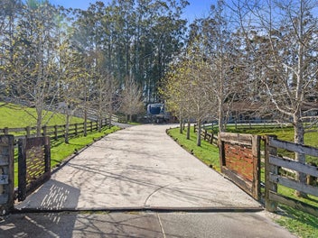 Exceptional Lifestyle Living in Kaukapakapa