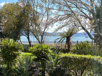 Timeless Charm, Modern Comfort