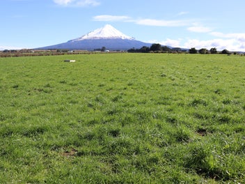 Image 1 of 31