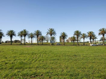 Blank Canvas in Waihi – Sections Opportunity