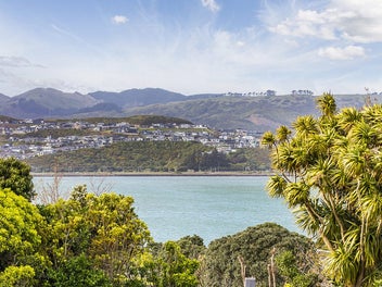 SUNNY STARTER THAT COULDN'T BE SMARTER