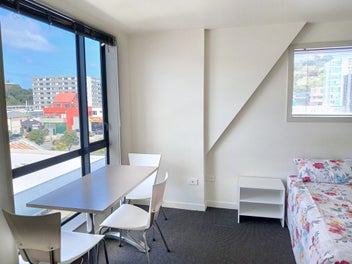 Central Wellington Studio-Sun and Easy Living!