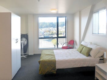 Central Wellington Studio-Sun and Easy Living!