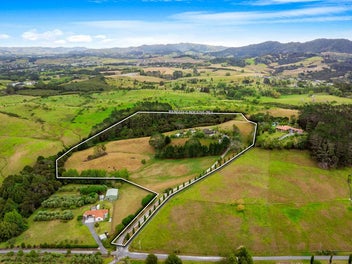 Space, Style & Scope in Matakana