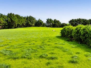 Multiple Purchase Options . . .