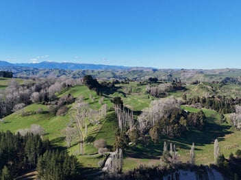 Small farm or large lifestyle