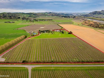 Tuki Tuki lifestyle with income