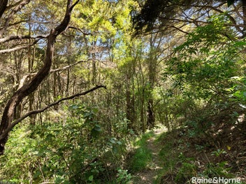 "Off-Grid Paradise with Endless Possibilities"