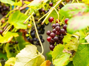 Near-New and Priced to Sell!