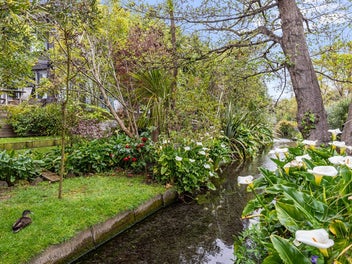 Zoned for Top Schools, Close to University