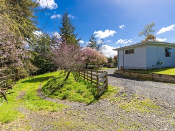 Find Your Space at 17 Steadman Street!