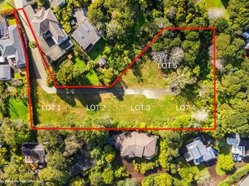 A Blank Canvas for Your Imagination