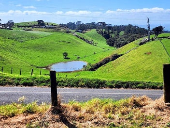 Eco Lifestyle Opportunity - Make an Offer!