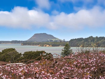 Rare Find on the Paradise Peninsula