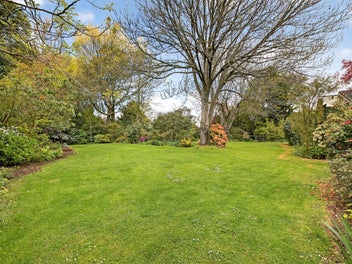 New Year, New Section