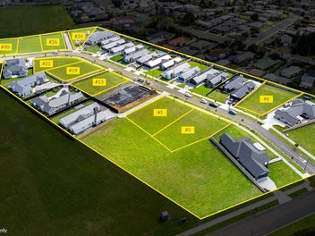 Front Row to the Action