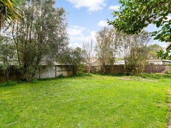 Big Backyard, Great Potential