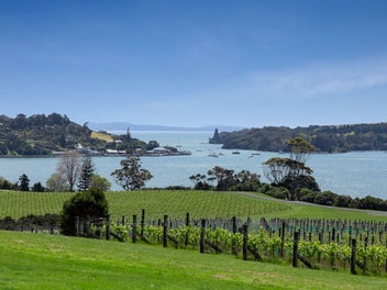 Paradise Awaits a Lucky New Owner.