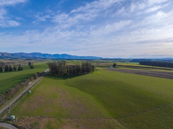 Lined with blue gums and potential