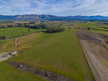 Build, graze or invest.