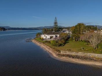 Life on water's edge