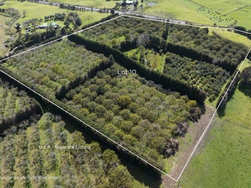 Freedom, Food & Coast, Lifestyle Starts Here!...