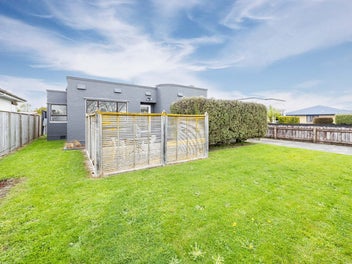 Solid Stucco Starter