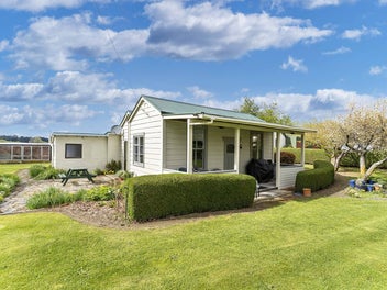 Secluded Cottage by the Shag River