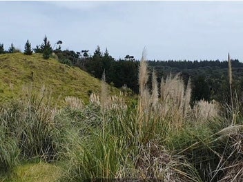 Image 1 of 7