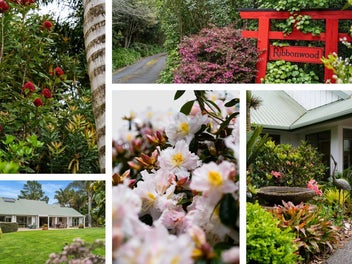 A Secluded Retreat of Calm