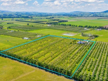 Tuscan Tones, Timeless Elegance