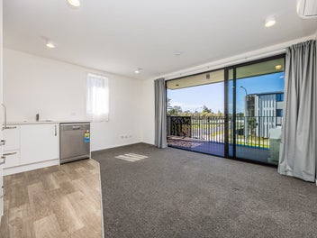 No Roommates, No Problems!