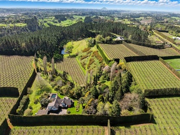 Lifestyle Grandeur - Serenity And Style