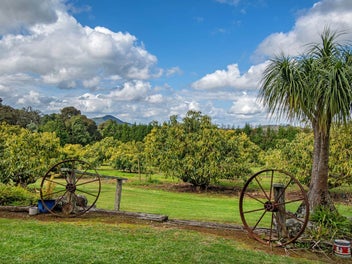 Rural Gem with Big Future