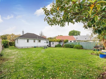 Robust Kiwi Classic - Hokowhitu