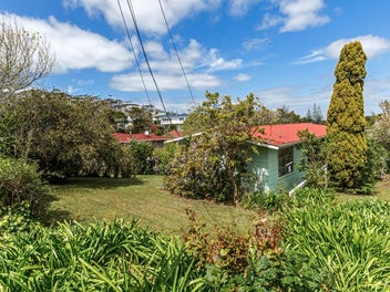 Opportunity Knocks: Renovate, Develop or Land-Bank