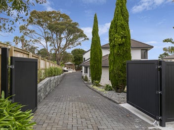 Space and Spec in Shamrock Park