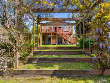 Auction This Thursday!