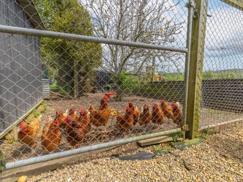 Space, flexibility and easy living for all ages