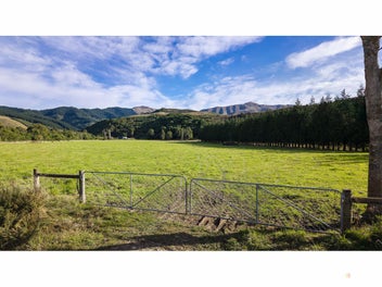 Peaceful lifestyle block - 3.941ha of quiet countr