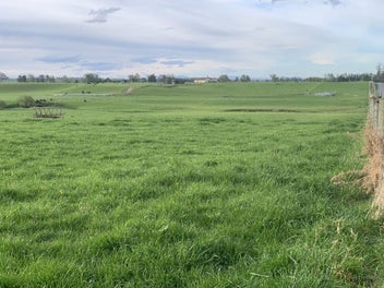 Ready to Build, Perfect to Graze