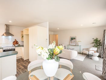 Sun! Easy Care & Entry Level!