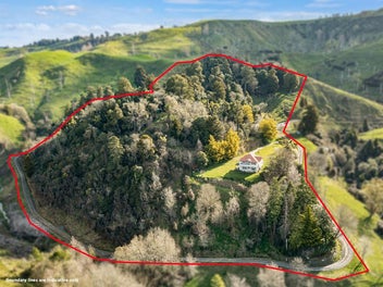 Lifestyle with two storey homestead