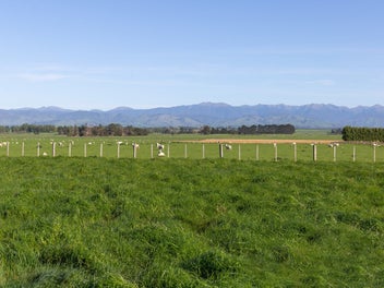 Stunning Lifestyle - Views, Location & Freedom